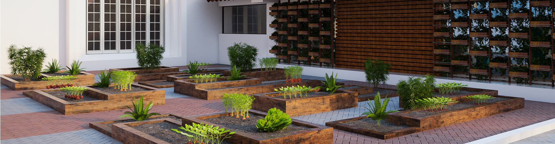 Organic Food Farm in campus